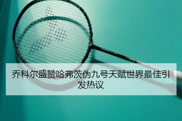 乔科尔盛赞哈弗茨伪九号天赋世界最佳引发热议